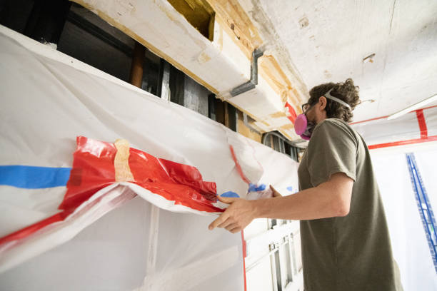 Best Real Estate Mold Inspection  in Hopkins, MN