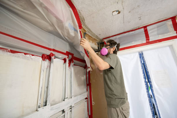 Best Mold Remediation for Healthcare Facilities  in Hopkins, MN